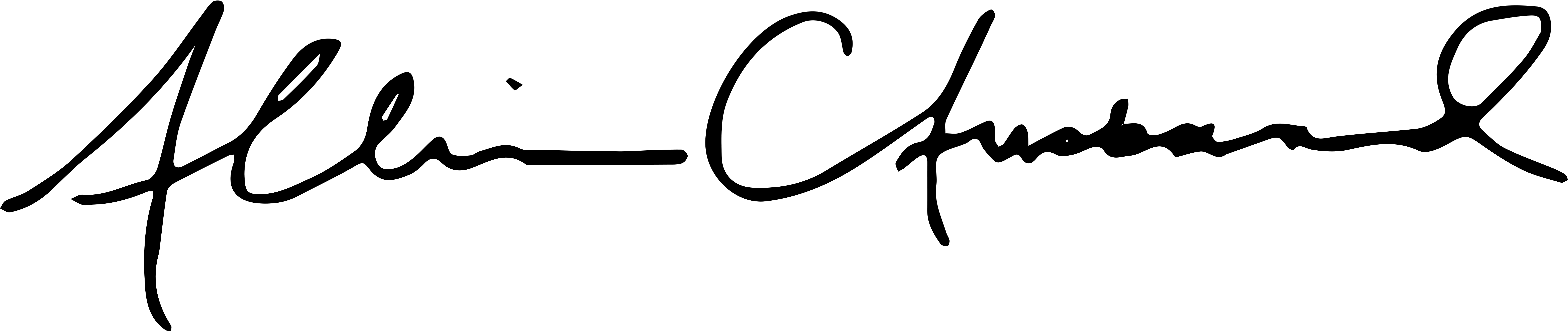 Allison Ausband's Signature